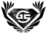 logo giovanelli service srl